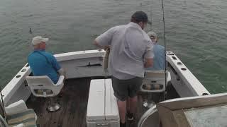 High Flying Great White Shark Leaps From Water Stealing Fishermen's Catch