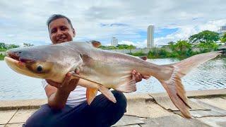 Unbelievable Big Catch | 3 Biggest Catch in My Life | Catching 3 Monster Fish | Extreme Fishing