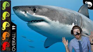 Great White Shark, The Best Pet Fish?
