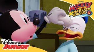 The Hapless Helpers | Mickey and the Roadster Racers | Disney Junior Arabia