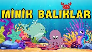 Minik Balıklar - Çocuk Şarkıları