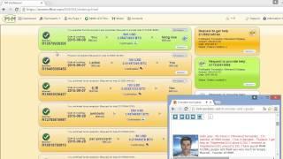 MMM Global pay 250 USD