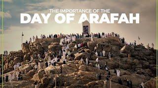 THE IMPORTANCE OF THE DAY OF ARAFAH.  #haramain #islam #viral #india #nigeria #africa