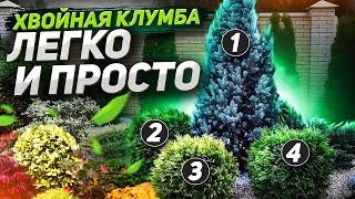 ХВОЙНАЯ КЛУМБА: СХЕМЫ вечнозеленого декора, секреты посадки и ухода