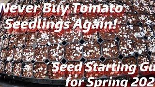 Never Buy Tomato Seedlings Again! Seed Starting Guide for Spring 2024