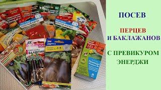 ПОСЕВ ПЕРЦЕВ И БАКЛАЖАНОВ С ПРЕВИКУРОМ ЭНЕРДЖИ. БЫСТРЫЙ И ЛЕГКИЙ СПОСОБ.