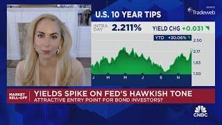 Davis: Inflation-protected bonds are pretty attractive right now in this environment