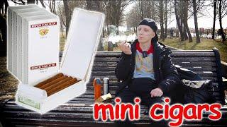 Весенний Балдеж / Сигариллы Romeo Y Julieta Mini 10