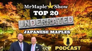 Top 20 Underrated Japanese Maples | MrMaple Show Podcast