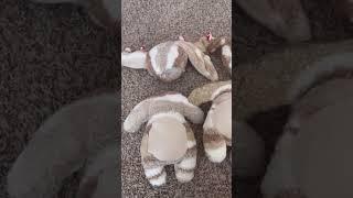 Watch me make plushies ️ #diy #sewing #plushies
