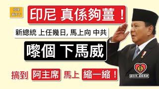 印尼「真係夠薑」！新總統上任幾日，馬上向中共「嚟個下馬威」！搞到「阿主席」馬上「縮一縮」！印尼咁有把炮，因為「阿主席」高度依賴印尼嘅「奶粉」，去培養佢「最錫嘅仔」…