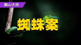 清朝奇案：女子與書生私通，屠戶撞見姦情，蜘蛛成破案關鍵 / 古代奇案懸案 / 民間故事