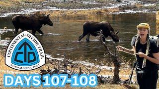 Insane moose encounter in the wild | CDT Days 107-108