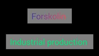 Forskolin Industrial production, Estimation n utilization || B.pharmacy 5semister pc&pc2