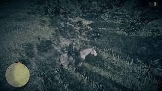 RDR2 Online: Hennigan's Stead North Treasure (One possible location)