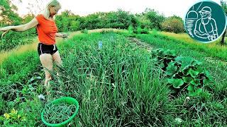 Never do this with garlic so you don't know about the best planting distances