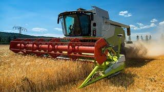 Modern Agriculture Machines At A Higher Level ▶4 #farming #harvest #picker #hay #bailing #maize