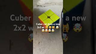 new 2x2 wr #cubingshorts #cat