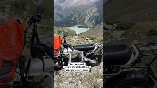 Самый мощный мини электрофэтбайк T16 PLUS в наличии #фэтбайк #электровелосипед