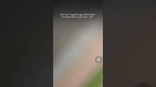 viral anak SD ngirim surat gituan!||Jangan sampe kayak gini anak2 kita Nauzubillah