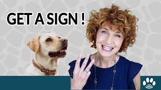 Three Hacks to Get a Sign from Pets on the Other Side | Animal Afterlife