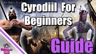 ESO: Ultimate Beginner's Guide to Cyrodiil