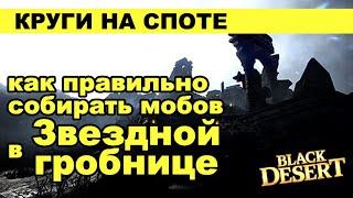 Звездная гробница (Кзарки): ТОП Споты для фарма серебра в BDO - Black Desert