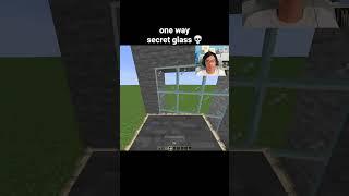 Minecraft Secret Glass Moment