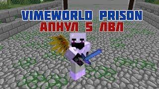 Достиг 5 уровня на VimeWorld Prison