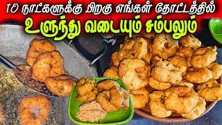 சுடச்சுட உளுந்து வடை | Our Village life | vanni vlog