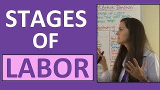 Stages of Labor Nursing OB for Nursing Students | Stages of Labour NCLEX Explained Video Lecture