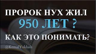 ПРОРОК НУХ ЖИЛ 950 ЛЕТ? КАК ЭТО ПОНИМАТЬ?