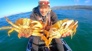 DUNGENESS CRAB Opening Day 2024 - Can I get a limit?