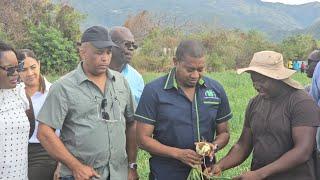 Minister Floyd Green Tours Western St. Thomas: Onion Farms, Agri-Innovation & Community Impact!"