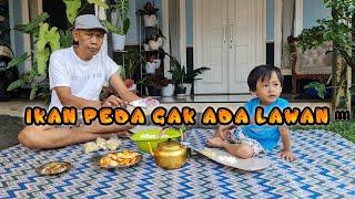 IKAN PEDA LALAPAN DAUN MEDE ,TERONG GURIH-GURIH ENYOYY