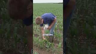 Brian's Suggestion on Tissue Sampling