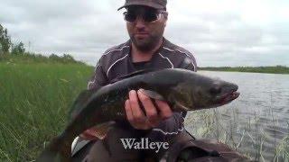 Northern Ontario River Canoe Trip- Missinaibi  River (Peterbell to Mattice) Part 1