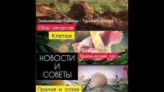 СОВЕТЫ И НОВОСТИ ПО ИВЕНТАМ! Тропический лес, Сбор, Клетки, Крабы. The Ants: Underground Kingdom