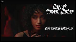 BEST OF PASCAL JUNIOR | LOVE MASHUP OF THE YEAR 2021 | Heistnights Records.