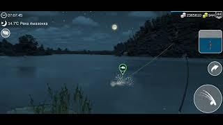 На что ловить рыбу павлиний басс в игре My Fishing World