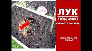 Сажаем Лук в зиму. КАК ПРАВИЛЬНО САЖАТЬ ЛУК ПОД ЗИМУ.ТОНКОСТИ ПОСАДКИ ЛУКА ОСЕНЬЮ