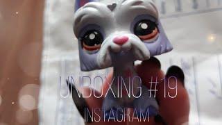 Unboxing #19 ~ распаковка Neko nya lps