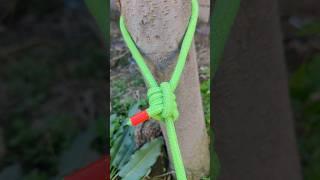 Practical Knot You Can Use At Your Home  