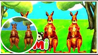 Learn the ABCs: "K" is for Kangaroo | PUZZLE