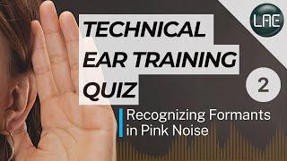 Technical Ear Training: Identifying Formants in Pink Noise 2