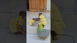 2 mischievous monkeys steal fruit and go anywhere