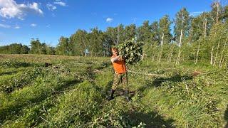 Как связать веники закрытыми глазами/ как связать веники для бани/ веники своими руками