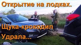 Щука-Крокодил тащит лодку...  300 пельменей из Лисы...