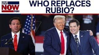 DeSantis to fill Rubio's Senate seat as Trump picks cabinet | LiveNOW from FOX