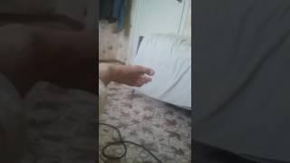 Нога. Шефа